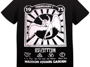 REMERA LED ZEPPELIN MADISON SQUARE GARDEN 1975 (UNISEX)