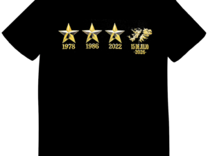 REMERA MALVINAS ARGENTINAS 4 ESTRELLAS (UNISEX)